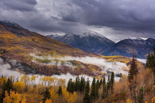 Autunno giallo colorato in Colorado, Stati Uniti. Stagione autunnale.