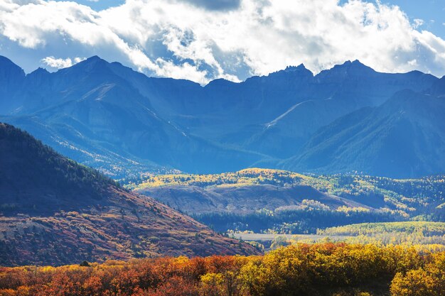 Autunno giallo colorato in Colorado, Stati Uniti. Stagione autunnale.