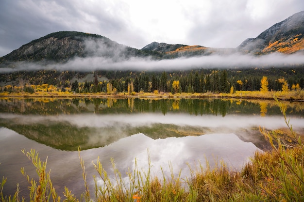 Autunno giallo colorato in Colorado, Stati Uniti.