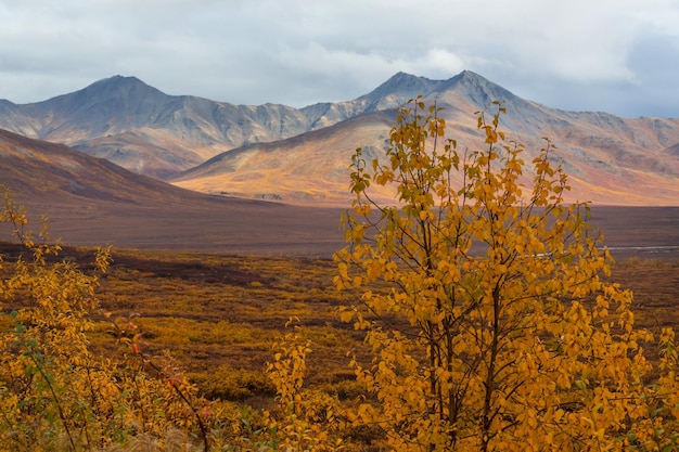 Autunno in Alaska