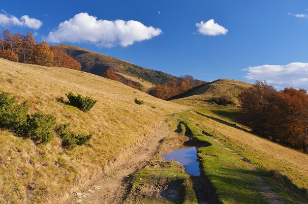 Autunno in montagna. Giornata di sole con nubi cumuliformi. Strada con pozzanghere e pozze d'acqua. Carpazi, Ucraina, Europa