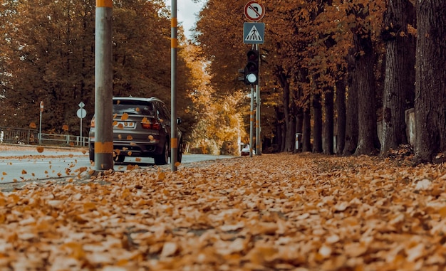 Autunno in strada con auto di passaggio