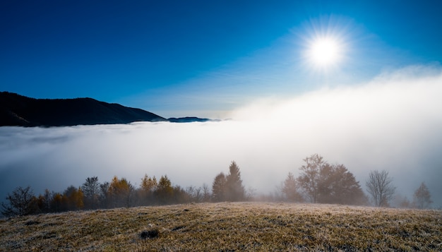 Autunno mattina presto ed erba secca congelata ricoperta di nebbia bianca sotto il sole freddo e luminoso