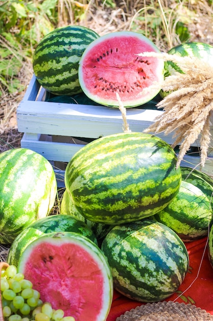 Autunno natura morta. angurie con picnic di frutta in natura. Zona foto anguria con cassetti