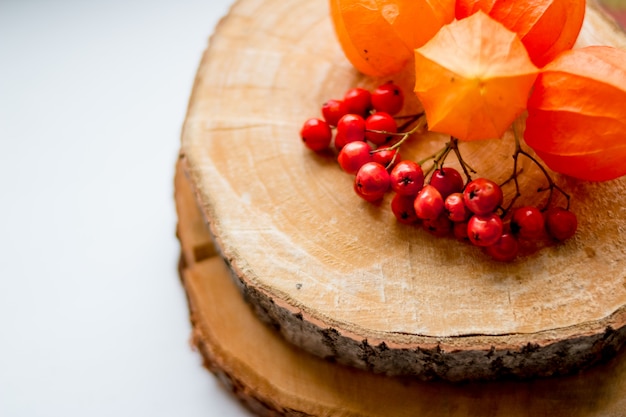 autunno natura morta. bacche di sorbo e physalis sul moncone