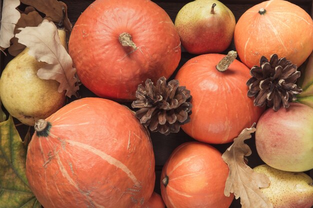 Autunno natura morta con foglie, zucche, mele.