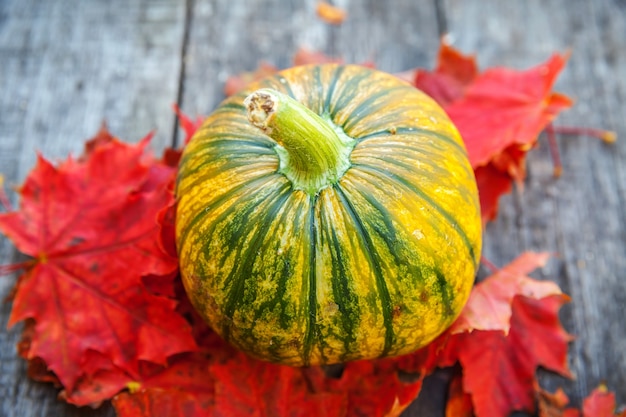 Autunno naturale vista autunnale zucca e foglie di acero su sfondo di legno di ispirazione ottobre o settembre...