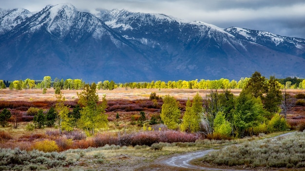 Autunno nei Grand Teton