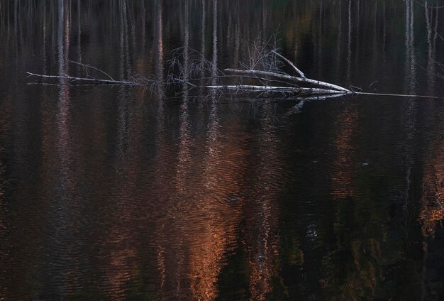 Autunno nel distretto dei laghi Alberi colorati che si riflettono nella superficie dell'acqua calma Paesaggio luminoso e vibrante SceneNature backgroundAutumn walk