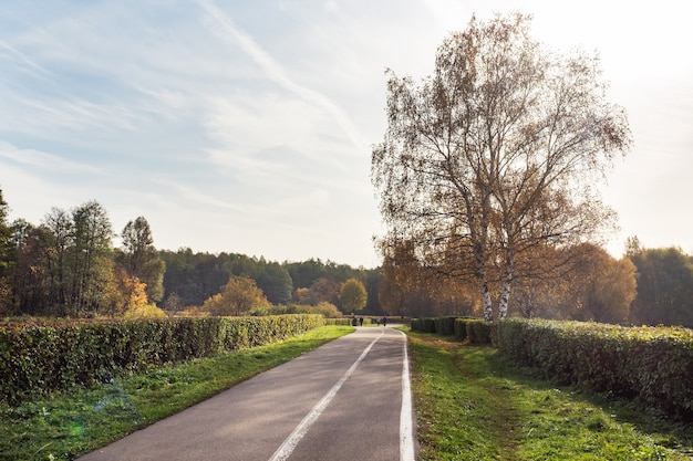 Autunno nel parco cittadino, alberi nel fogliame giallo,