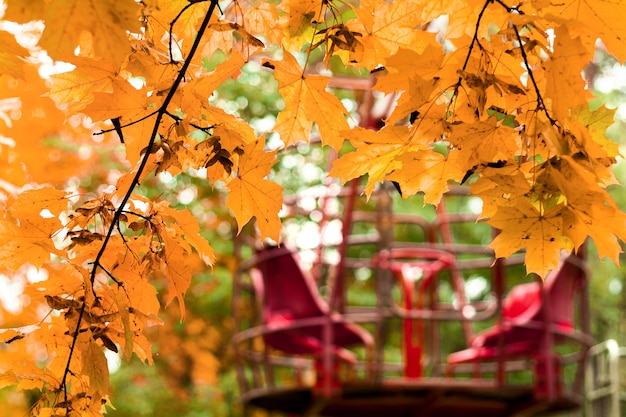 autunno nel parco divertimenti