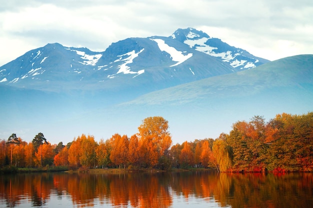 autunno nel parco