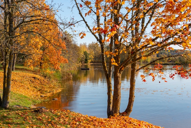 autunno nel parco