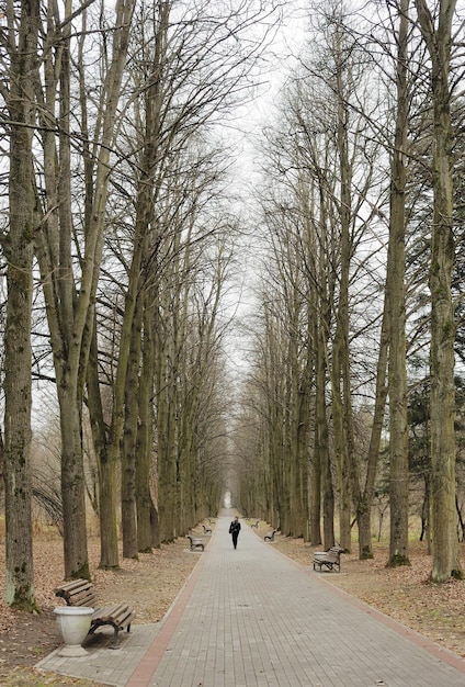 autunno nel parco