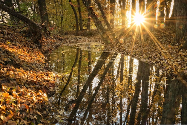 autunno nel parco