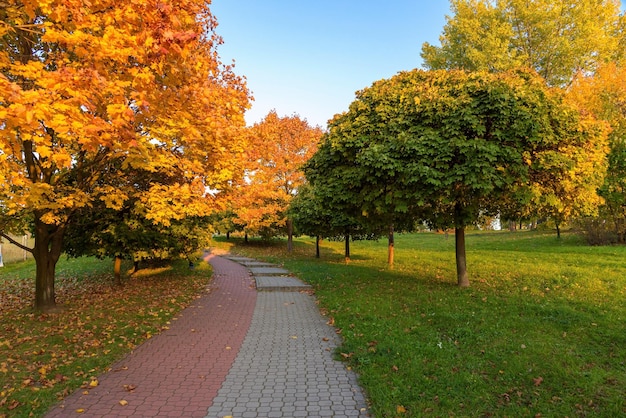 autunno nel parco