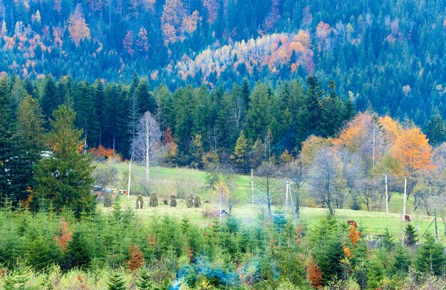 Autunno paesaggio di montagna e foresta sulla collina (Carpazi, Ucraina)