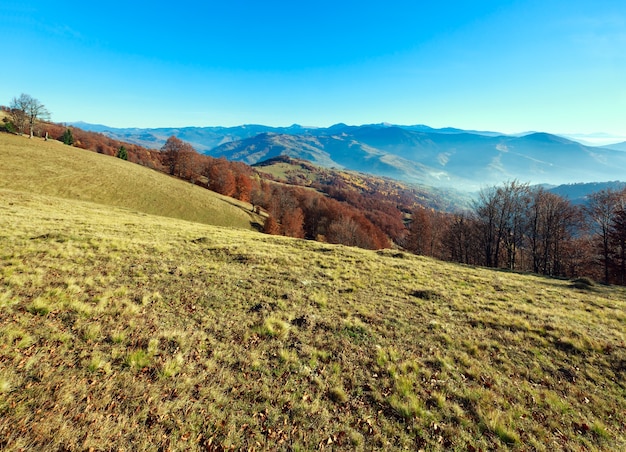 Autunno paesaggio montano con alberi in pendenza e leggera foschia.