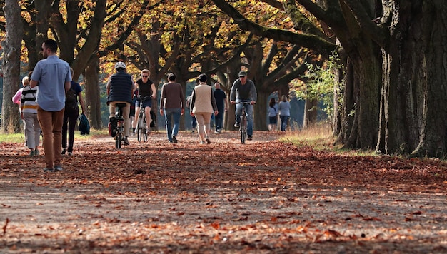 Autunno paesaggio