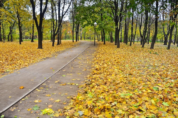 Autunno parco