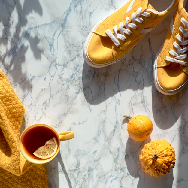 Autunno piatto disteso con maglione giallo, zucche decorative, tazza da tè arancione e ombre di foglie di quercia autunnali su marmo