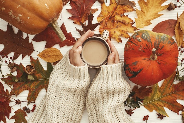 Autunno piatto posare le mani in maglione con tazza di caffè e zucche cadono foglie berriesnutsacorns su sfondo bianco rustico vista dall'alto Saluti stagionali Immagine accogliente