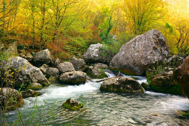 Autunno profondo sul fiume