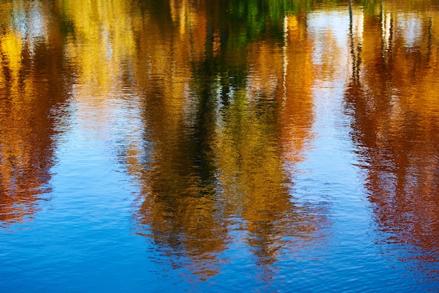 Autunno. Riflessione di alberi autunnali colorati sfocati nel fiume