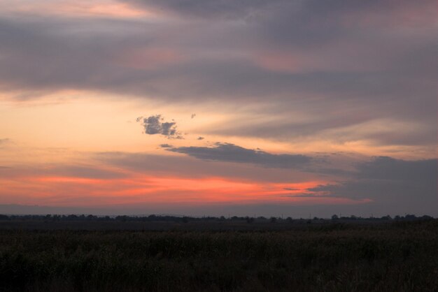 Autunno rosa tramonto bellissimo cielo alto sera paesaggio di un campo infinito Regione di Krasnodar Russia