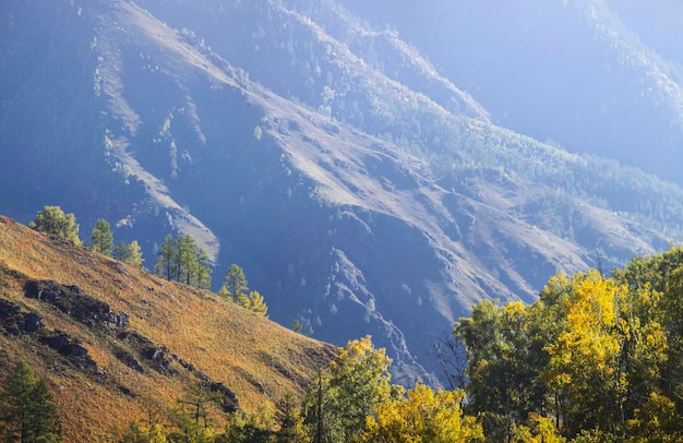 Autunno soleggiato di montagna di mattina