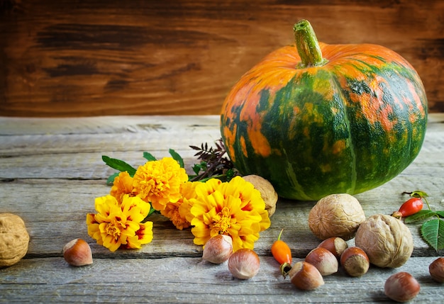 Autunno still life: zucca, noci, calendule