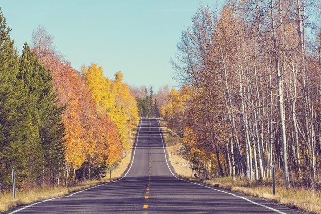 Autunno strada