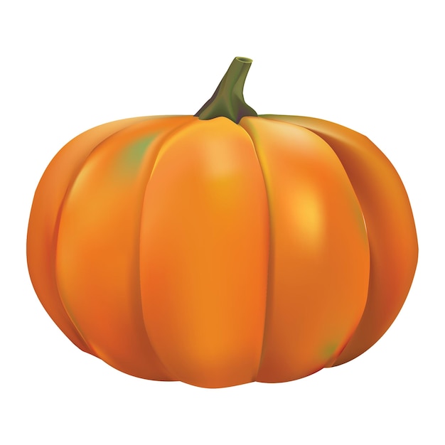 Autunno zucca png sfondo trasparente