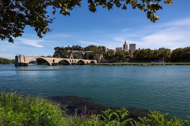 Avignone sul fiume Rodano Francia