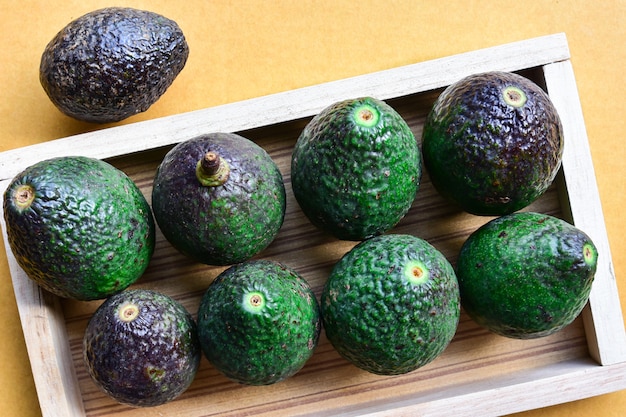 Avocado fresco sul mercato