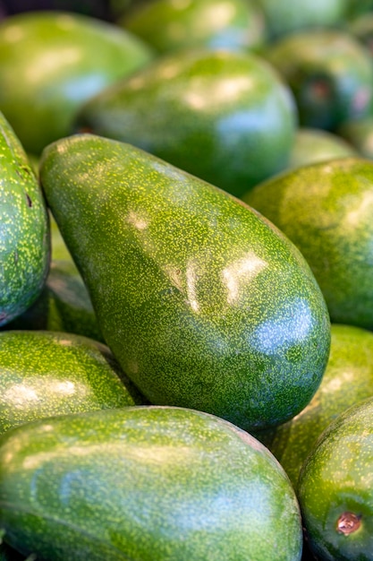 Avocado maturo sul bancone del mercato Mucchio di frutta esotica di avocado