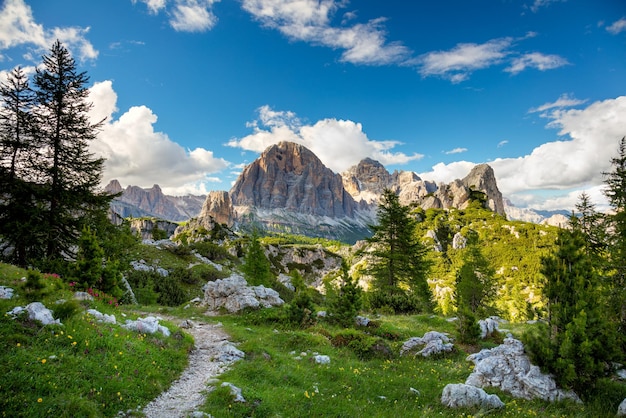Avventura Paesaggio di piccolo sentiero e monte nelle Alpi italiane in estate