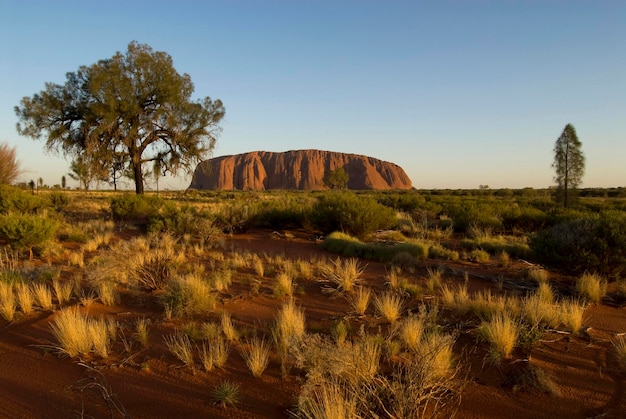 Ayers Rock chiamata Uluru roccia magica degli aborigeni Yulara Ayers Rock Territori del Nord