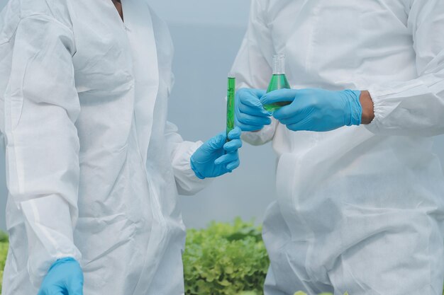 Azienda agricola biologica I lavoratori testano e raccolgono dati sull'ambiente dalla verdura biologica di bok choy nell'orto della serra