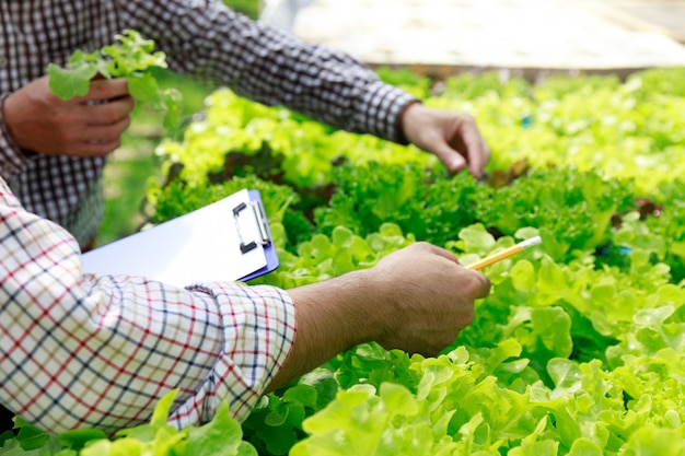 Azienda agricola idroponica, test dei lavoratori e raccolta dei dati ambientali dalla verdura idroponica organica della lattuga al giardino dell'azienda agricola della serra.