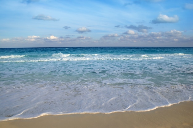 Azzurro tropicale della spiaggia del turchese del mare caraibico