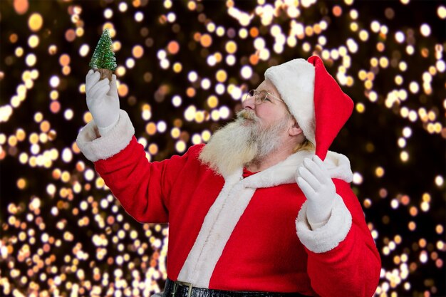 Babbo Natale che tiene albero di Natale decorativo.