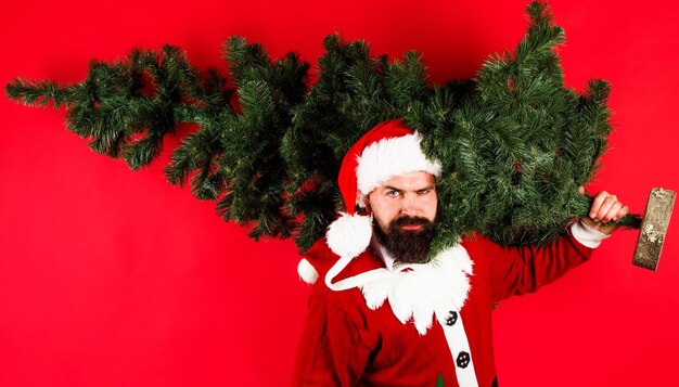 Babbo Natale con albero di pino uomo di natale con abete buon natale felice anno nuovo vacanze invernali