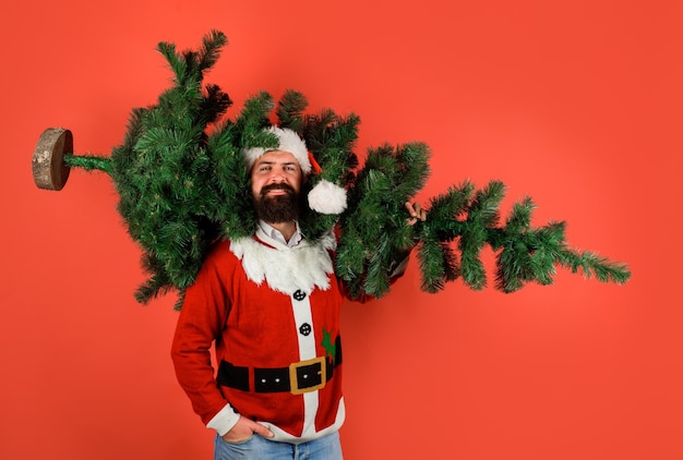Babbo Natale con l'albero di pino santa man tenere l'albero di natale babbo natale con l'abete natale o capodanno
