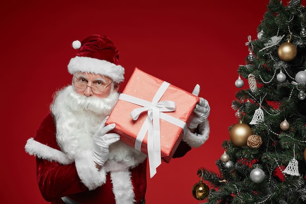 Babbo Natale con regalo di Natale