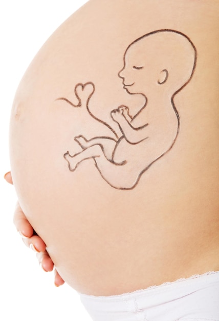 Baby drawing on pregnant woman abdomen standing against white background