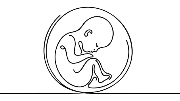 Baby in womb one line drawing on white background
