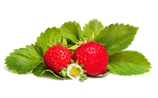 Bacca Di Fragola Rossa Con Foglie Verdi