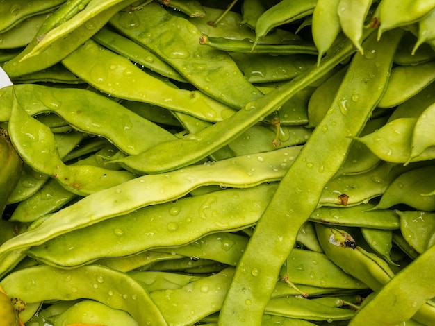 Baccelli al mercato degli agricoltori nella città di Madeira di Funchal in Portogallo