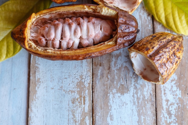 Baccelli di cacao fresco e foglie di cacao su una superficie di legno